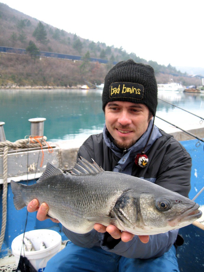 seabass