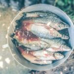 Pesca con cebos biodegradables: una opción ecológica.