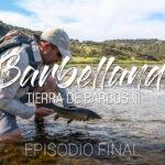 Barbelland, tierra de barbos III – por PescataMinuta