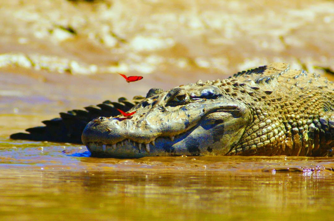 Photo Amazon River