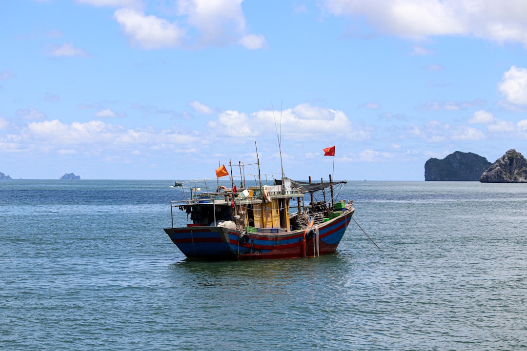 Photo Fishing Nets