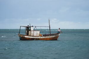 •  Pesca en áreas de arrecifes coralinos