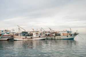 •  Pesca de mariscos: técnicas y regulaciones