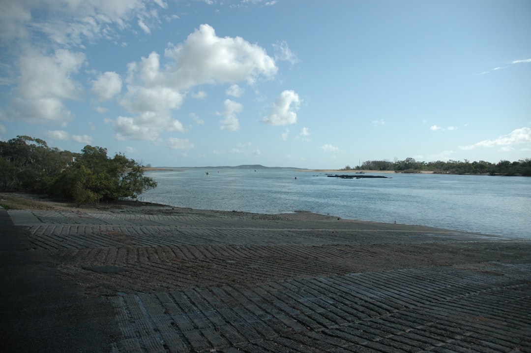 Photo Mangrove fishing