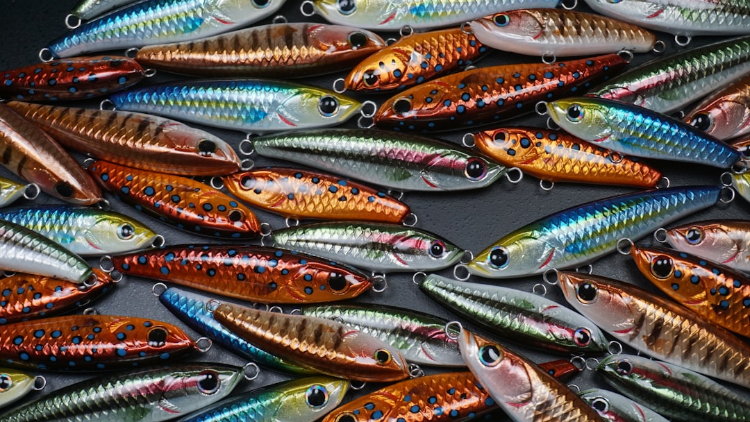 Photo Fishing lures