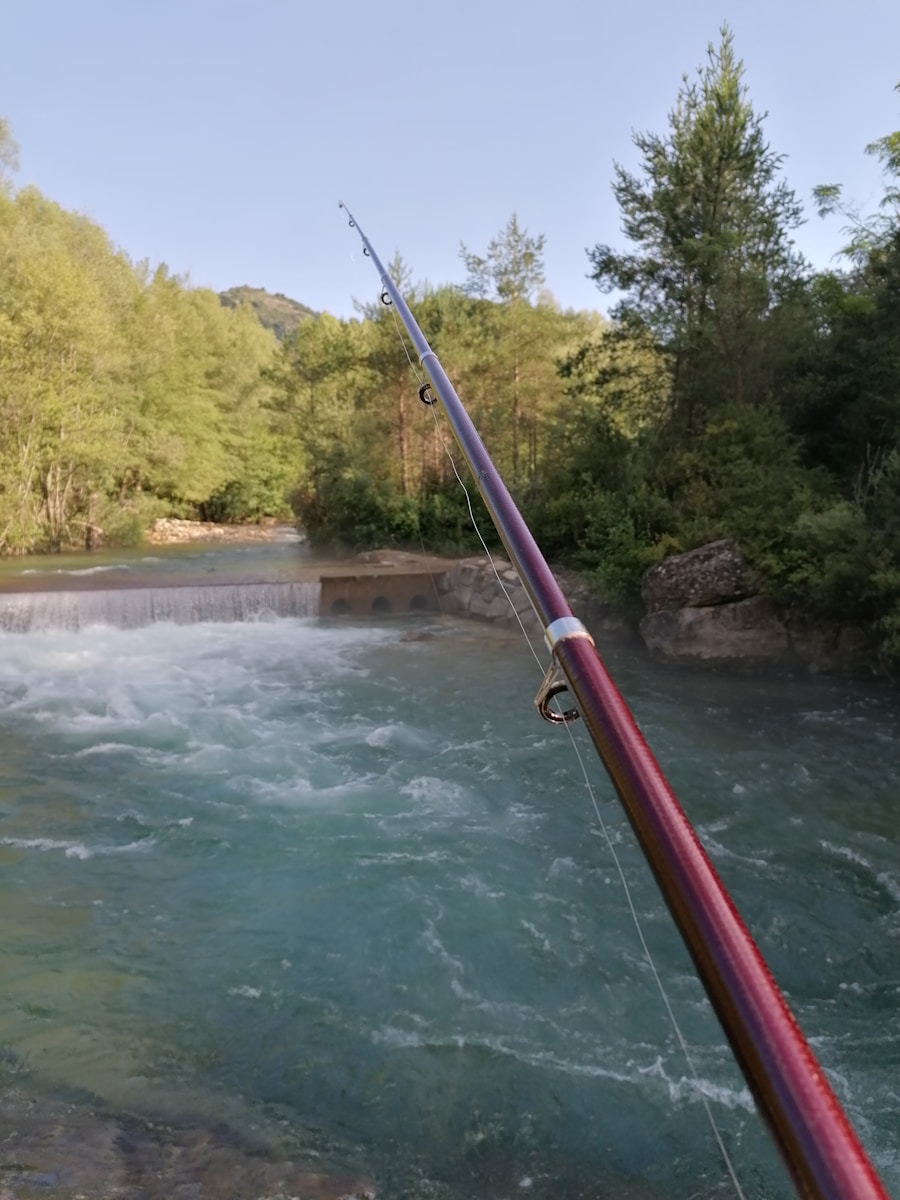 Photo Fishing techniques in rivers during the spawning season