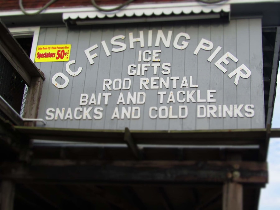 Photo "Fishing with live bait in deep rivers"