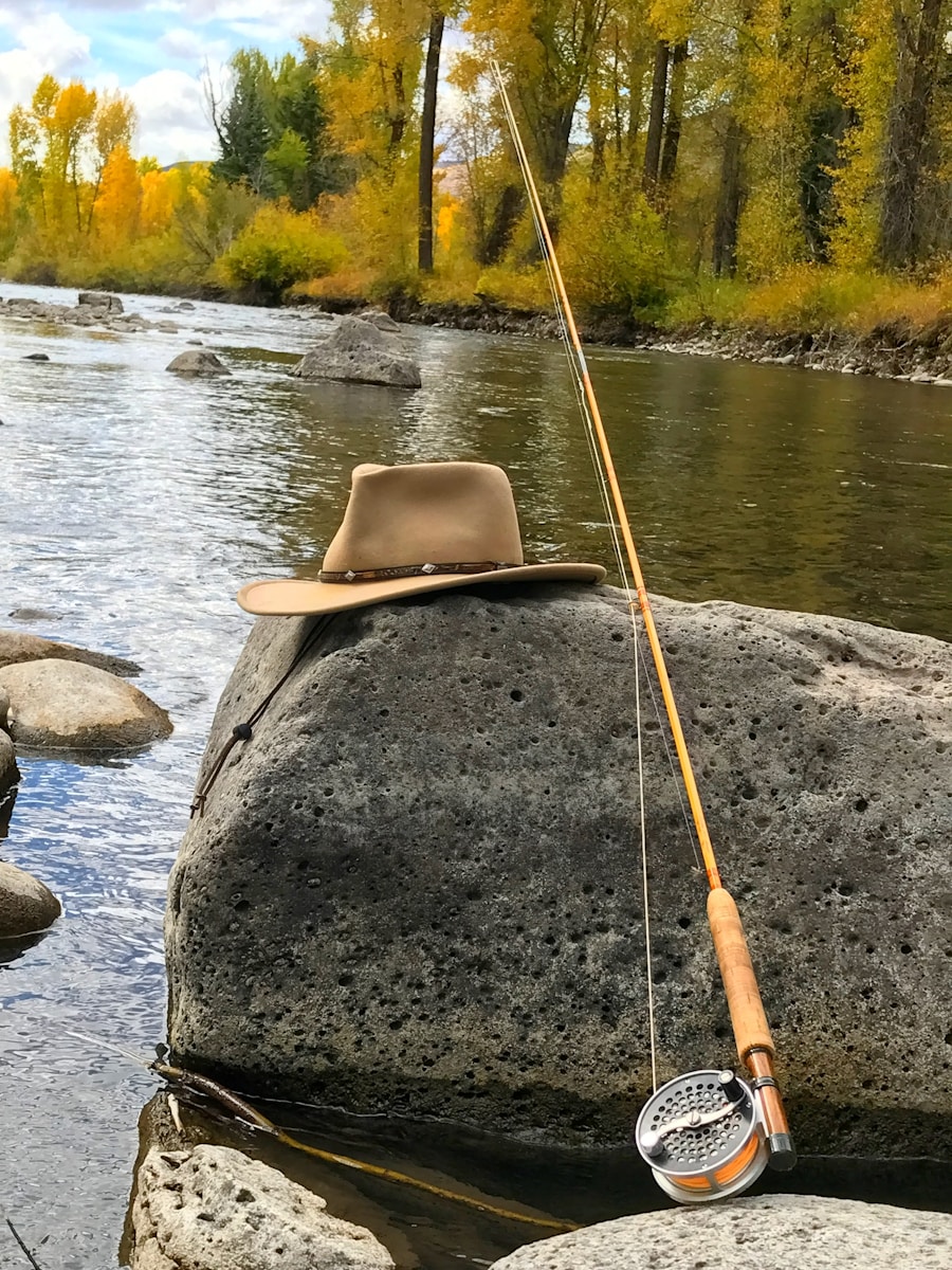 Photo How to fish during light rains in rivers
