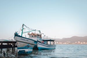 Cómo elegir el lugar ideal para pescar en costas arenosas.