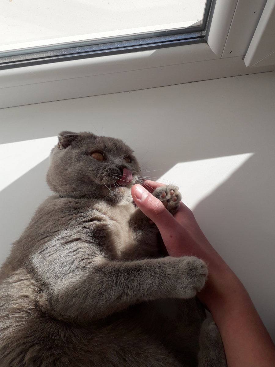 Photo hard bite