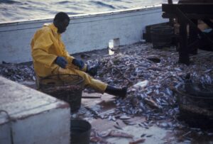 Pesca con cañas telescópicas en pantanos remotos.