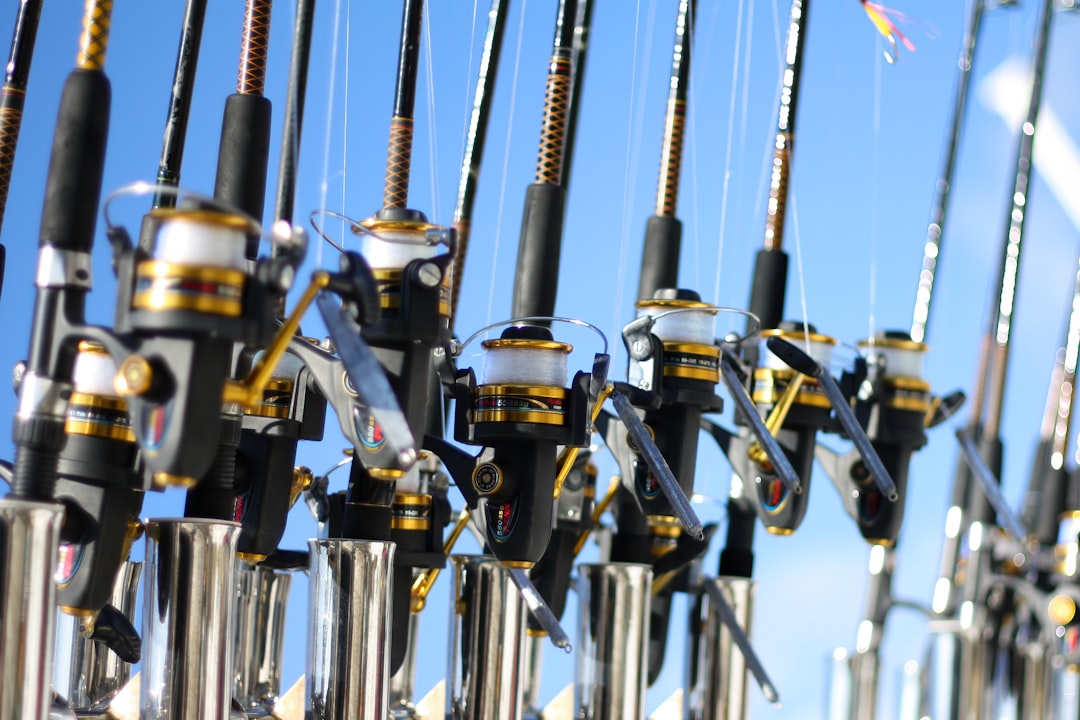 Photo Fishing rod