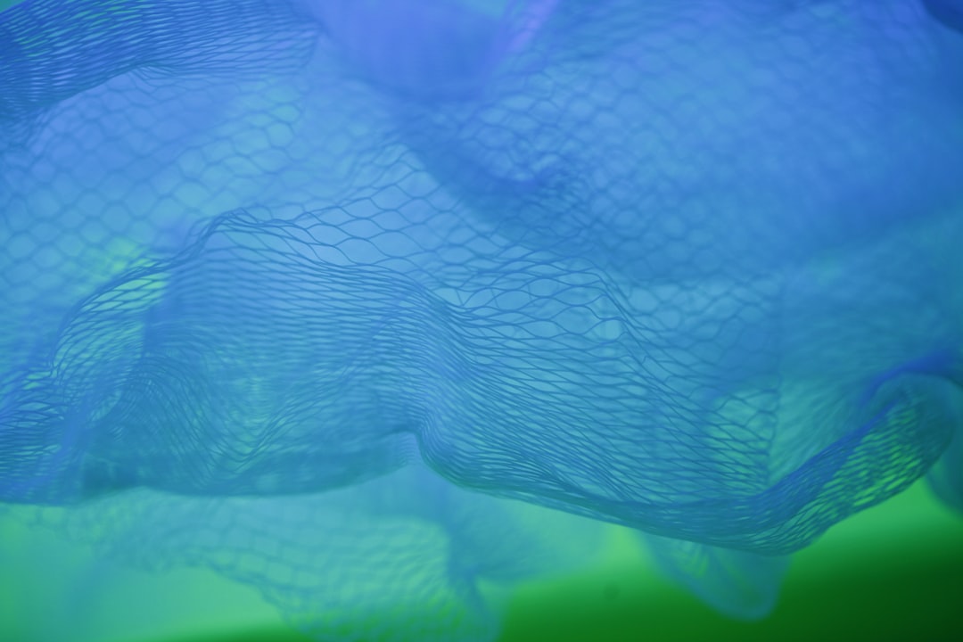 Photo Fishing net