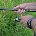 Cómo aprovechar los sonidos naturales para pescar en pantanos.
