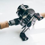 Pesca en pantanos con presencia de fauna peligrosa: consejos.