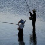 Cómo pescar en pantanos sin afectar los ecosistemas locales.