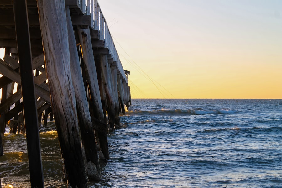 Fishing lines