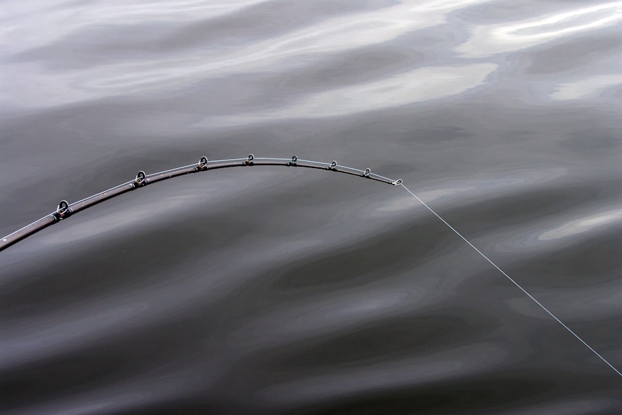 Photo Retractable fishing rods