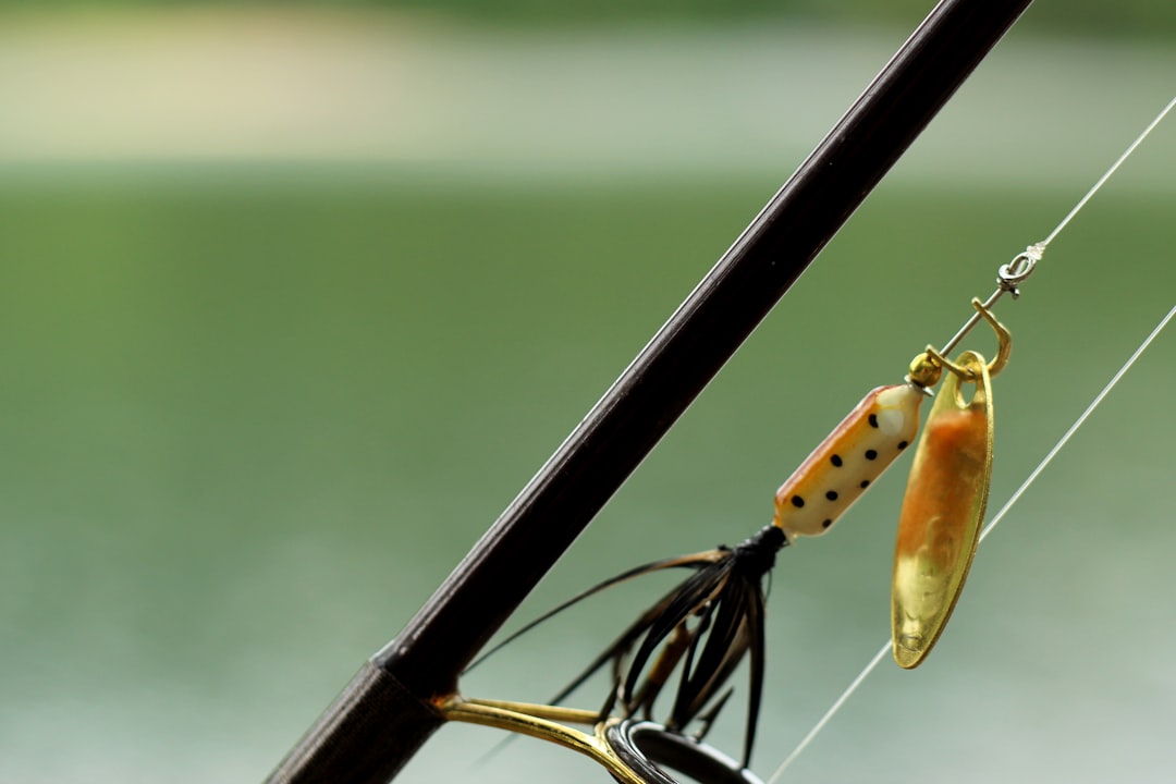 Photo Fishing bait