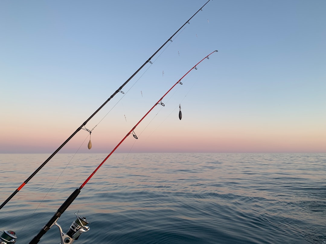 Photo Fishing hooks