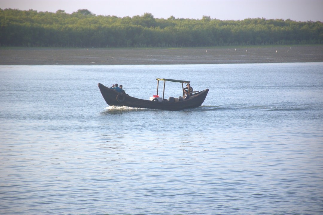 Photo Fishing reel