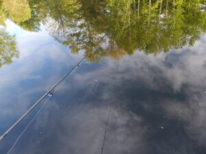 Pesca con señuelos de hundimiento lento en pantanos.