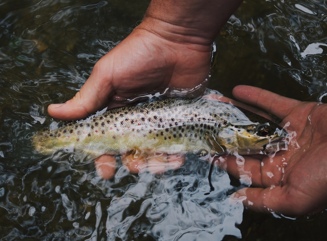 Photo fishing