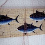 Pesca con arco: consejos para principiantes.