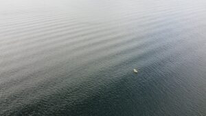Cómo usar cebos flotantes en zonas de marea.
