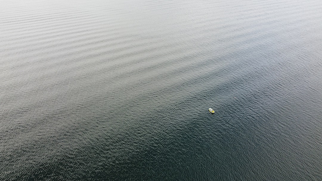 Photo cebos flotantes