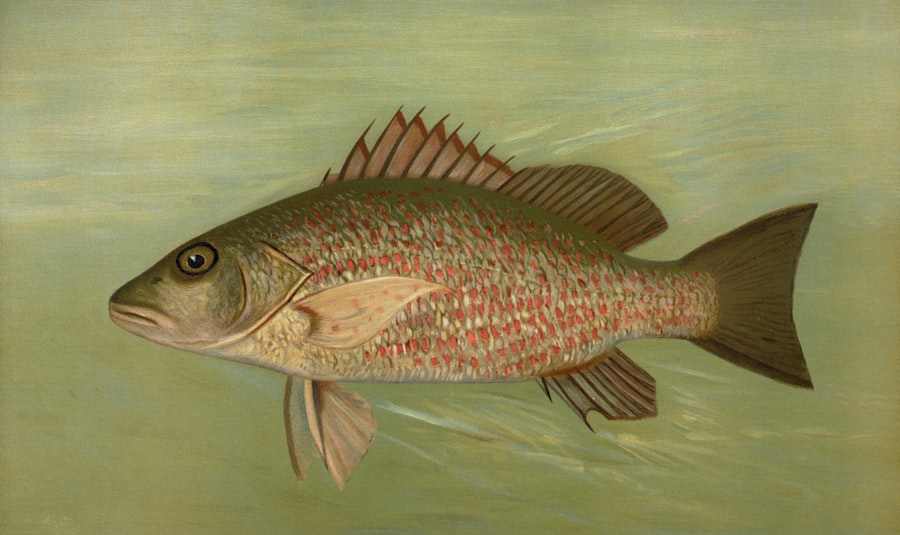 Endemic species fishing