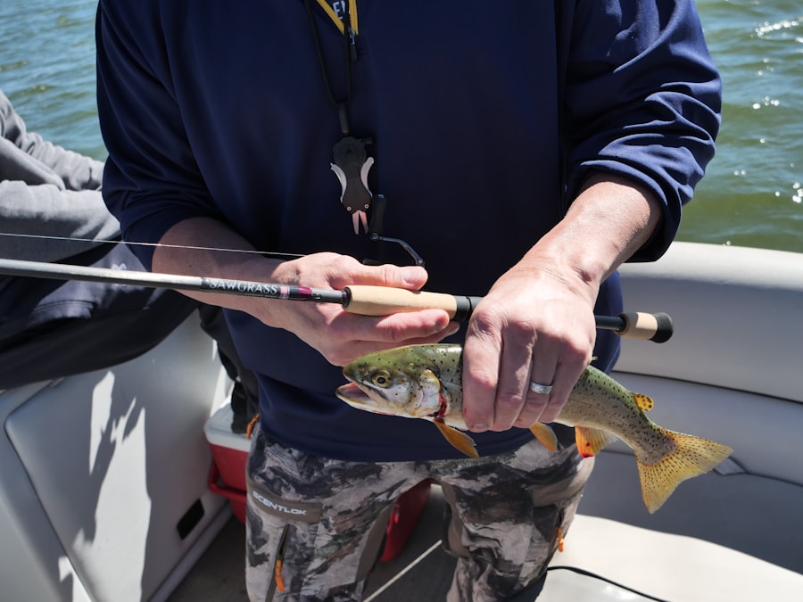 Trout fishing