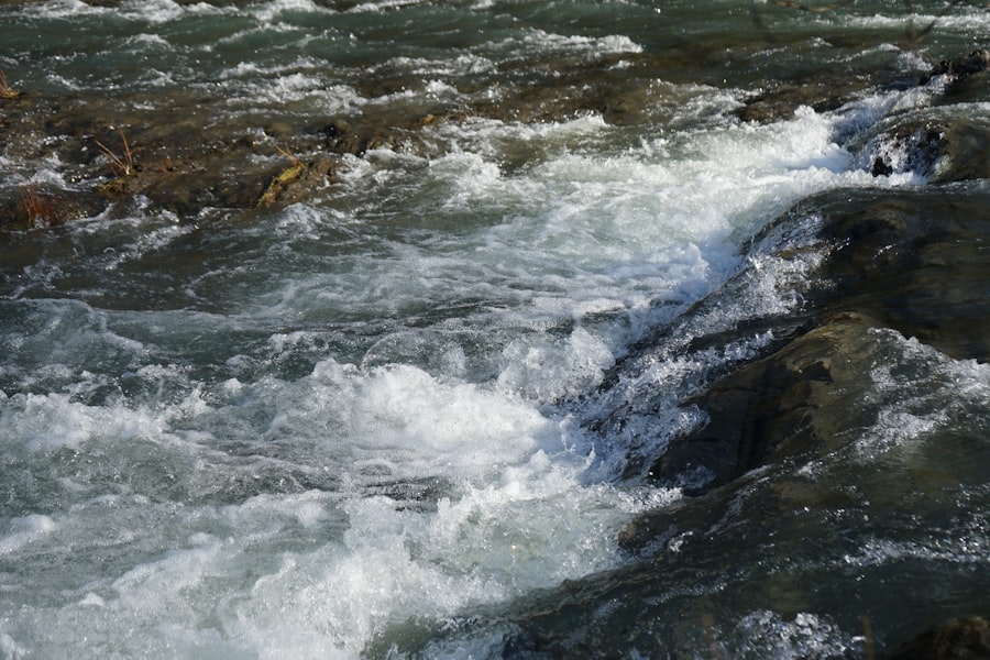 Salmon fishing in strong river currents