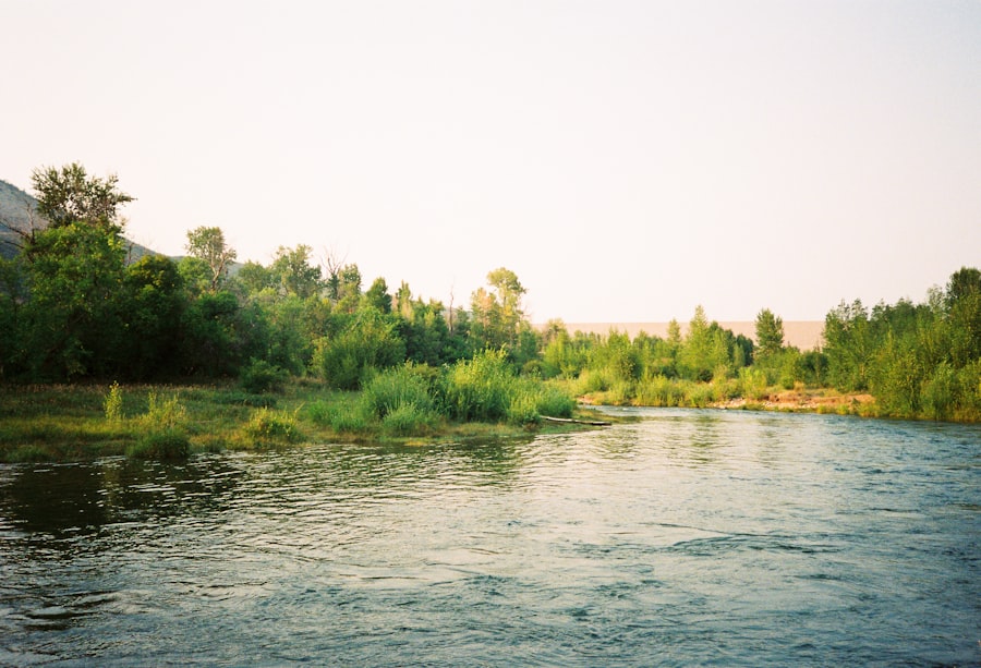 Photo fishing rivers with clear water