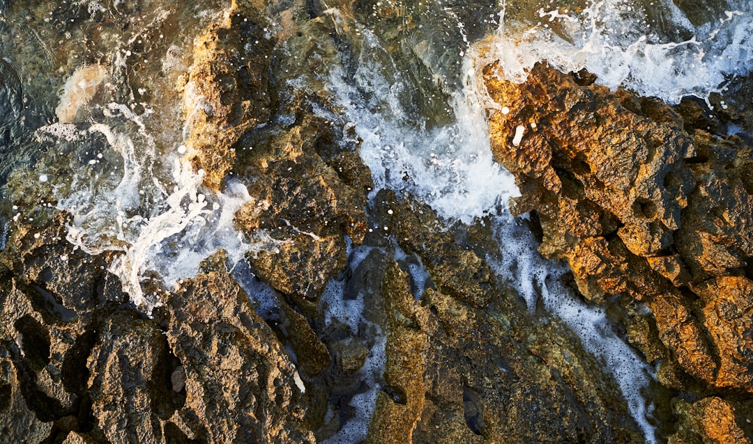Photo fishing in river with submerged rocks