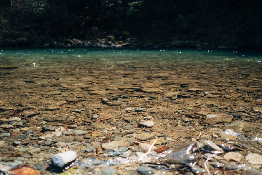Photo fishing in river with submerged rocks