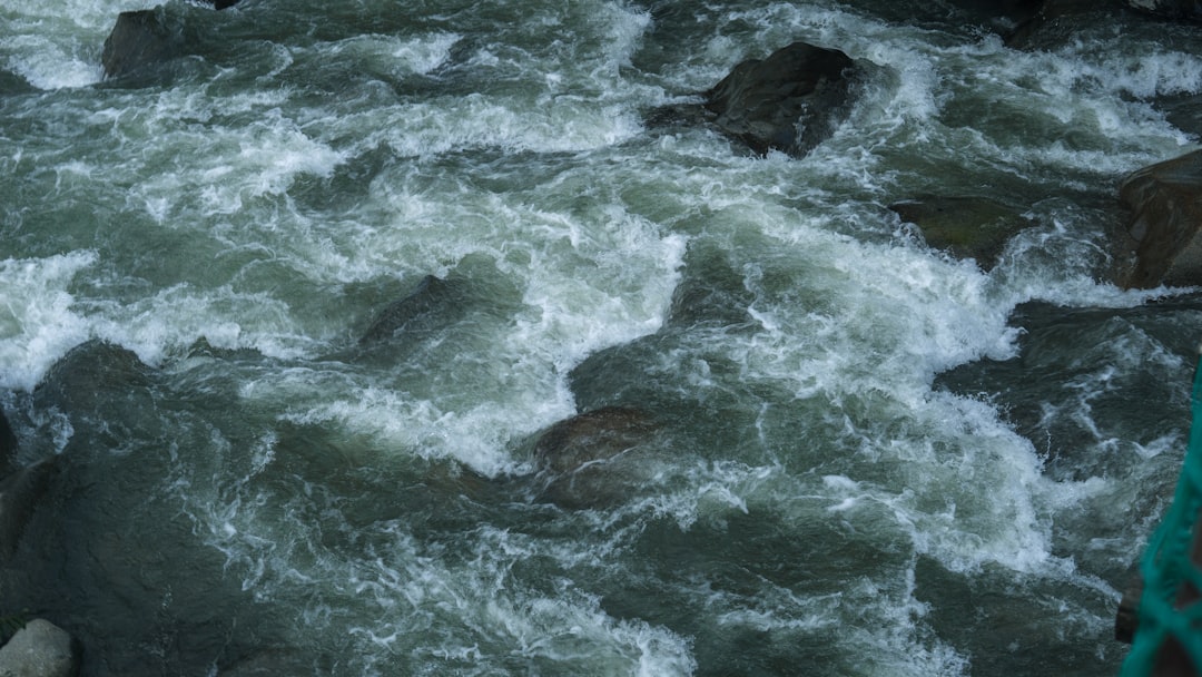 Photo Salmon fishing in strong river currents