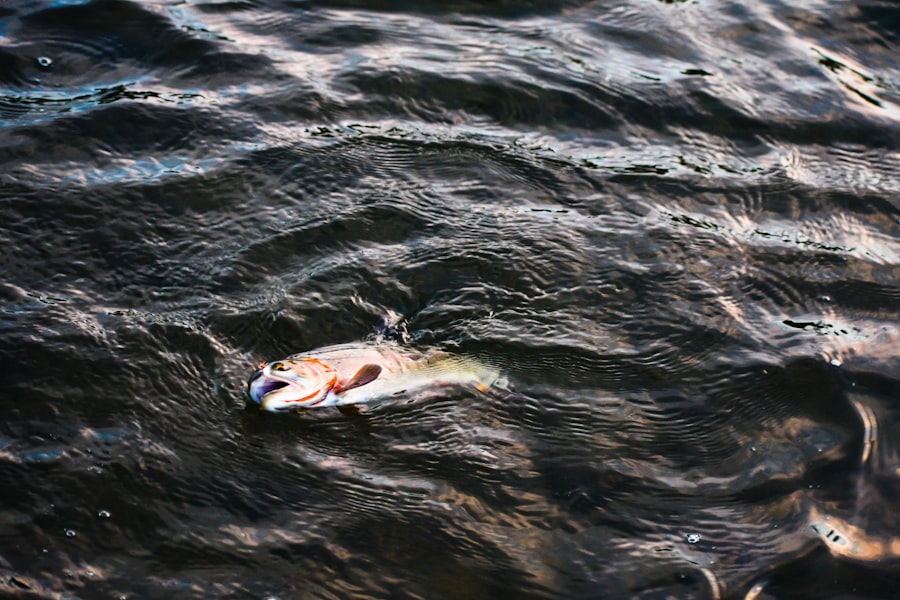 Photo Salmon fishing in strong river currents