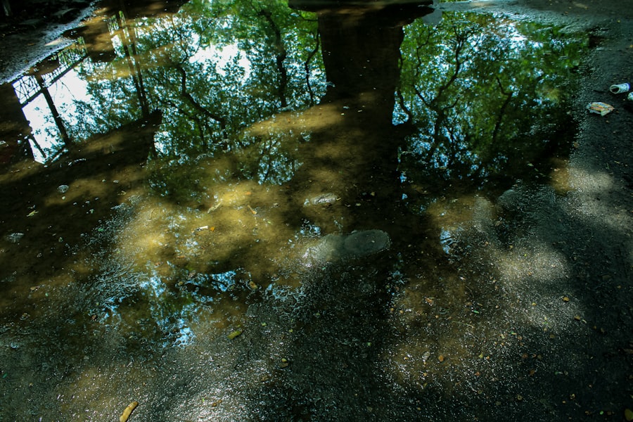 Photo shadows natural rivers fishing
