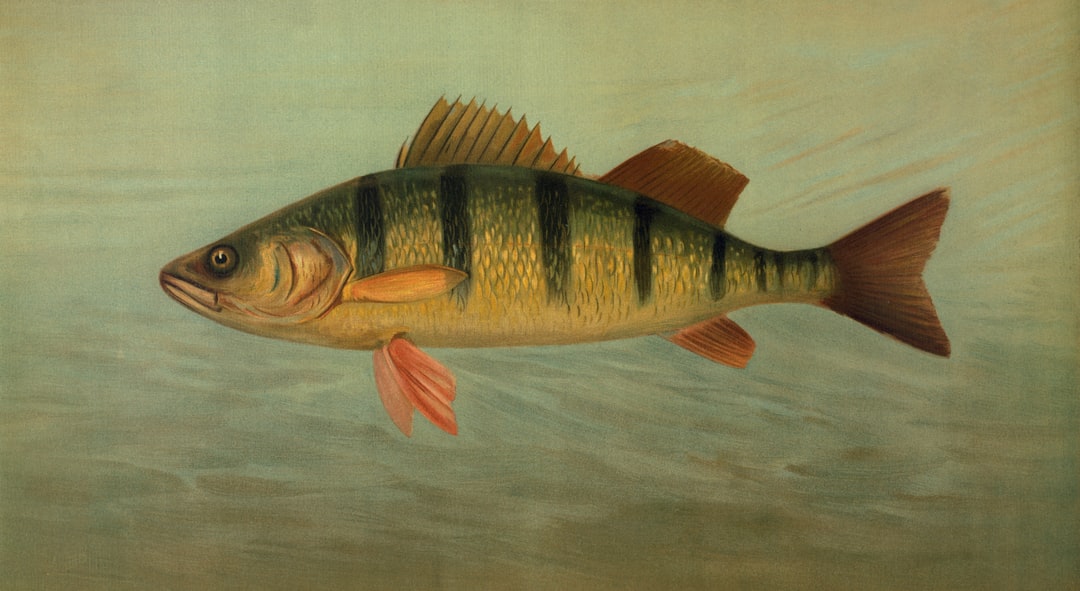 Photo Endemic species fishing
