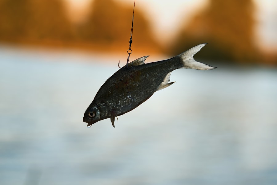 Photo Herbivorous fish fishing