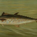 Pesca de peces herbívoros en ríos con vegetación abundante.