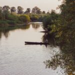 Pesca en ríos con puentes antiguos: precauciones y técnicas.