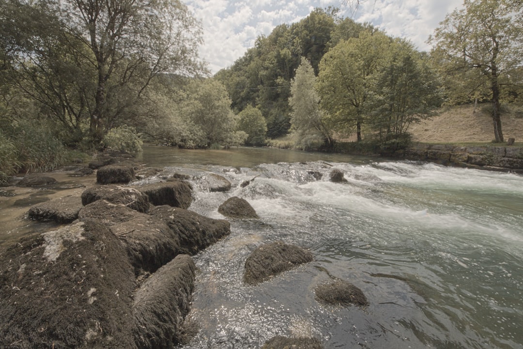 Photo Fishing rivers with small tributaries: unique opportunities