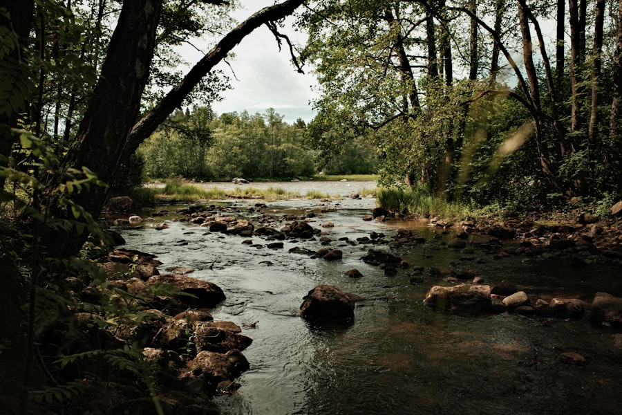 Photo Fishing rivers with small tributaries: unique opportunities