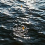 Cómo usar carnadas flotantes en ríos con corriente lenta.