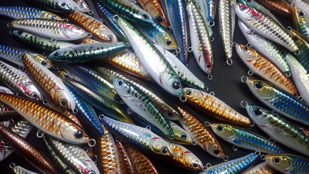 Photo fishing lures