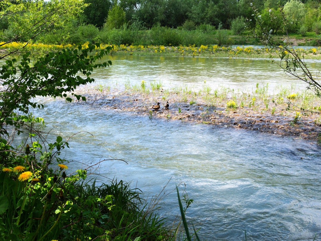 Photo fishing rivers with clear water