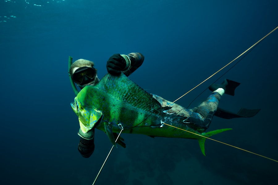 dorados