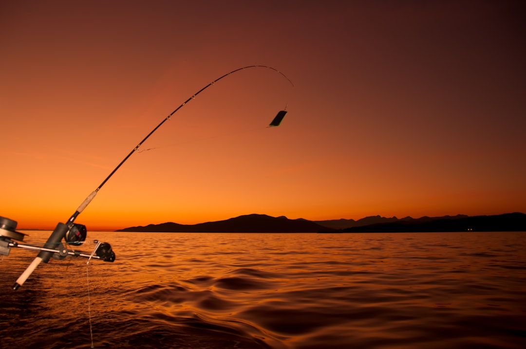 Photo flying fish fishing